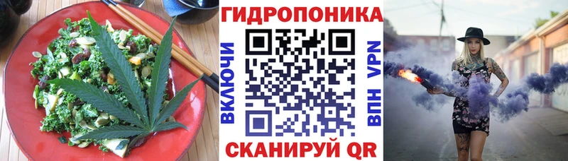 Купить  Свободный  Cannafood конопля 