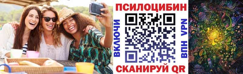 Галлюциногенные грибы Magic Shrooms  Купить где  Свободный 